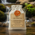 Handmade Organic Ginger Tea, Turmeric, Aloe & Orange Peel Botanical Body Bar🌿