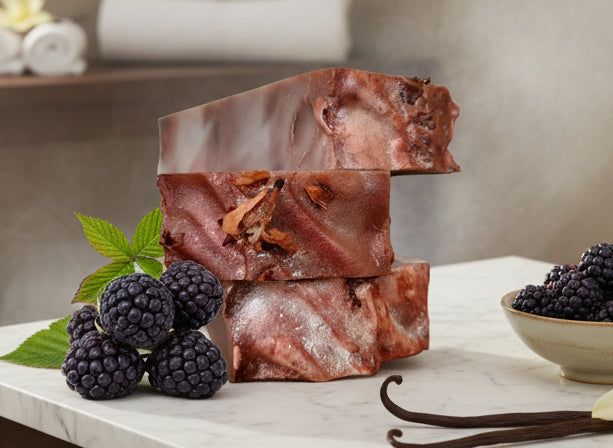 Handmade Black Raspberry Vanilla activated charcoal tallow hemp soap – sweet plum wine, orchid & musk scent, deep detox – Earth’s Natural Soaps