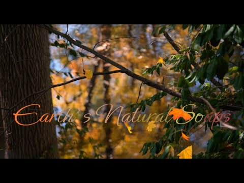 Handmade Organic Temple Tree & Dandelion Root Tea Body Bar with Natural Tea Infusion